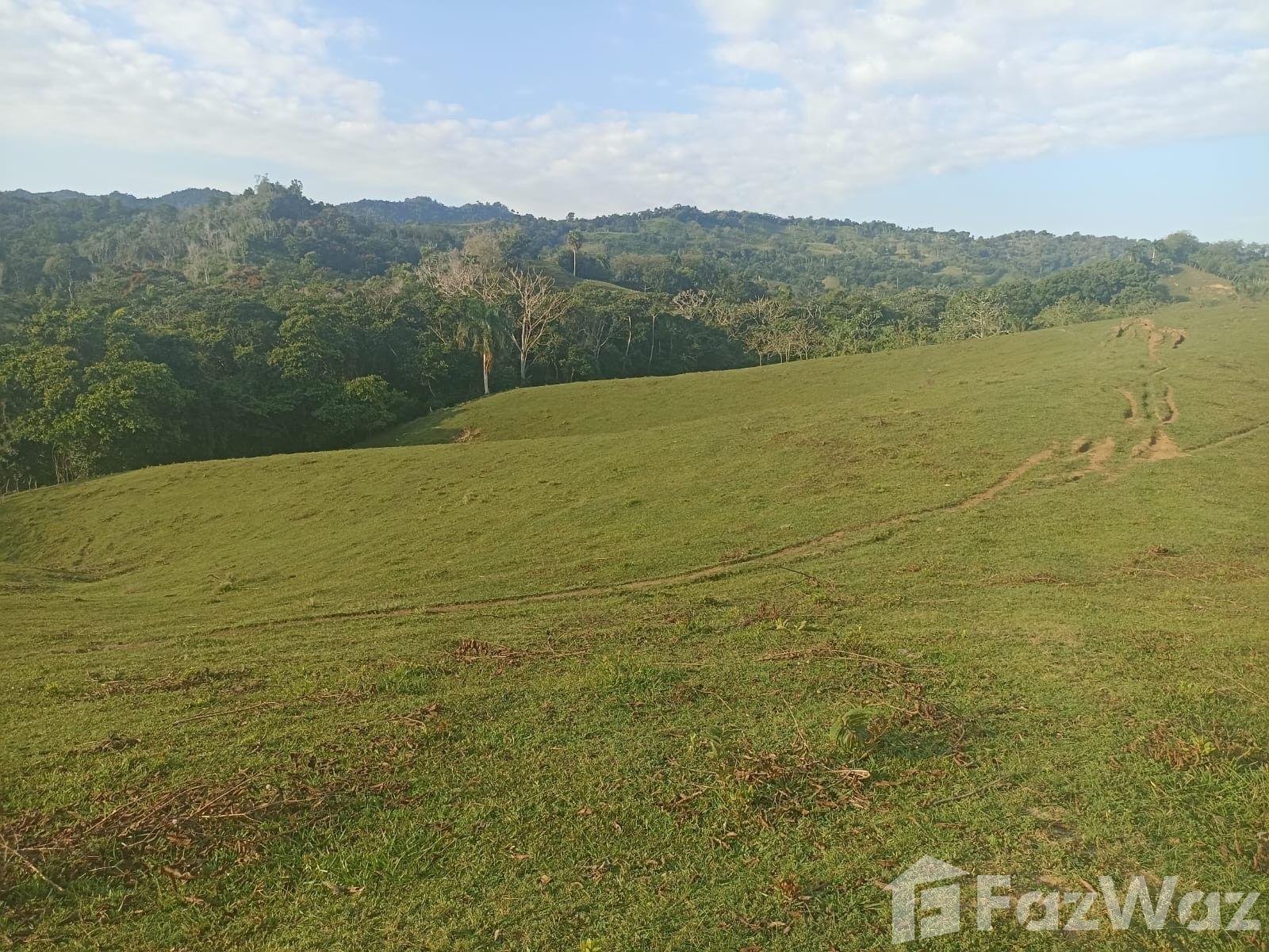 Finca Ganadera en Venta - Puerto Plata — photo 1