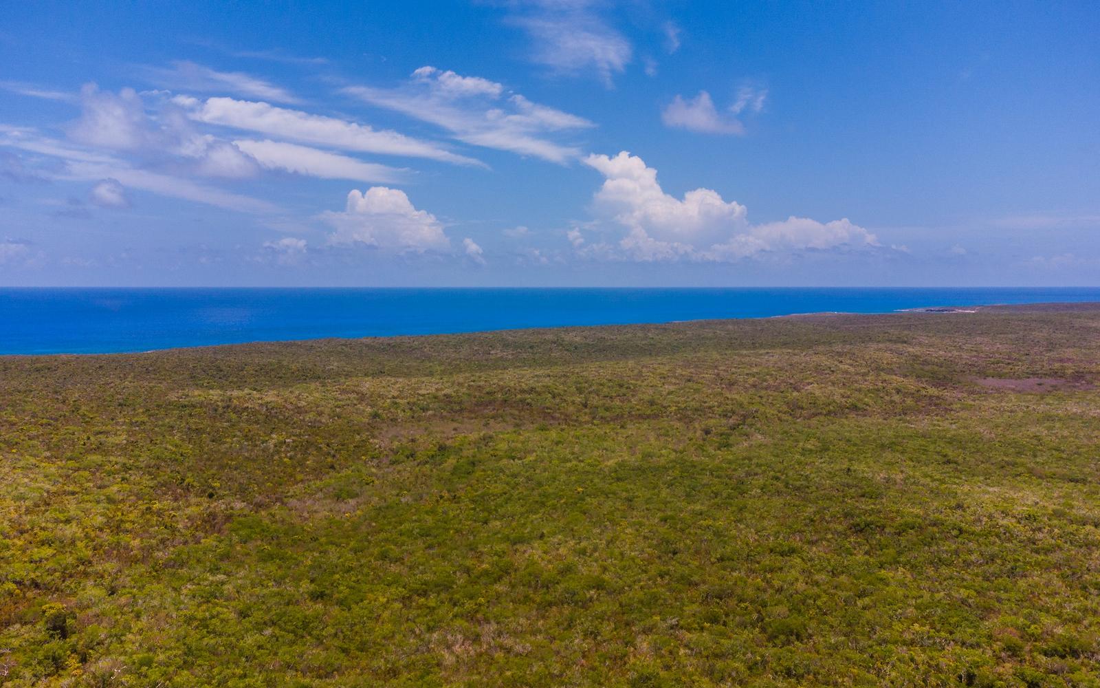68 Acres Beachfront Land for Sale in Long Island, Bahamas — photo 5