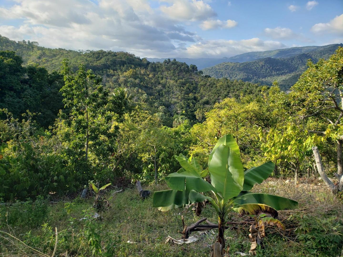 Land With Ocean View Have Fresh Water And Beside A River Have — photo 1