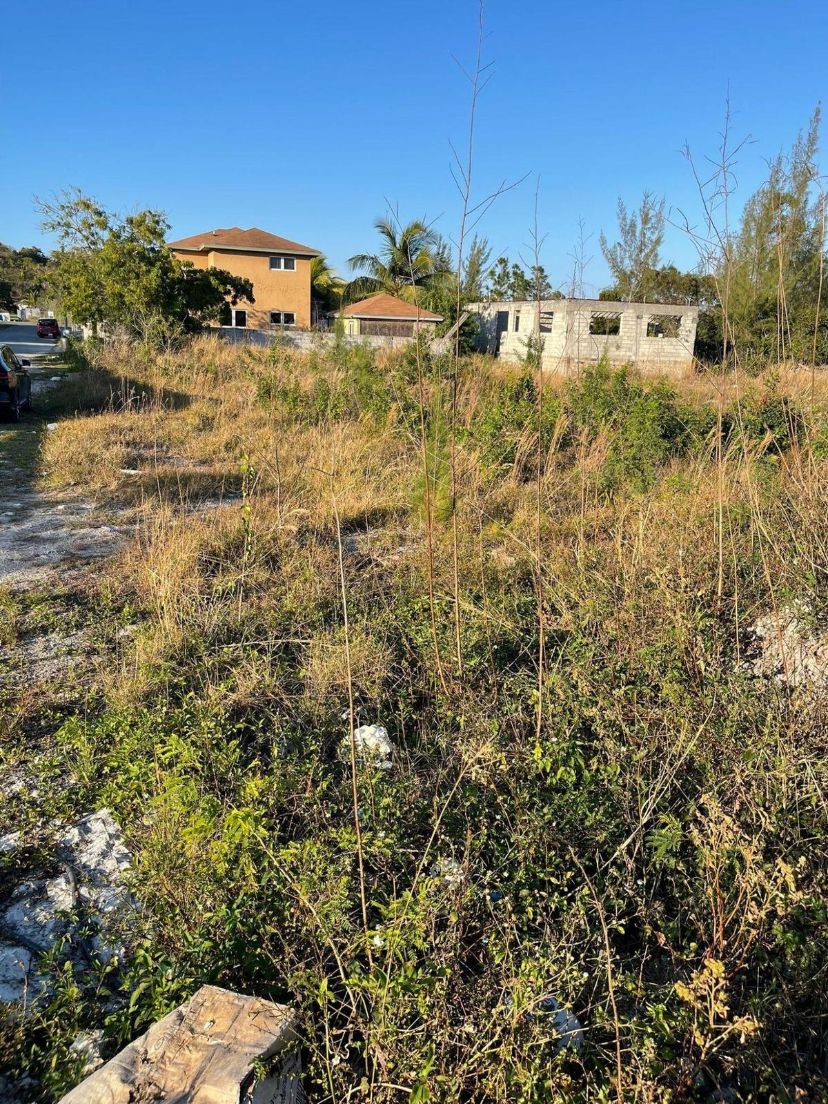 TROPICAL GARDENS — photo 2