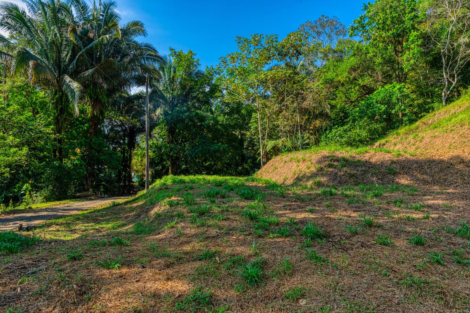 5.6 Acres of Ocean View Farm Land for Sale in Uvita, Costa Rica — photo 5