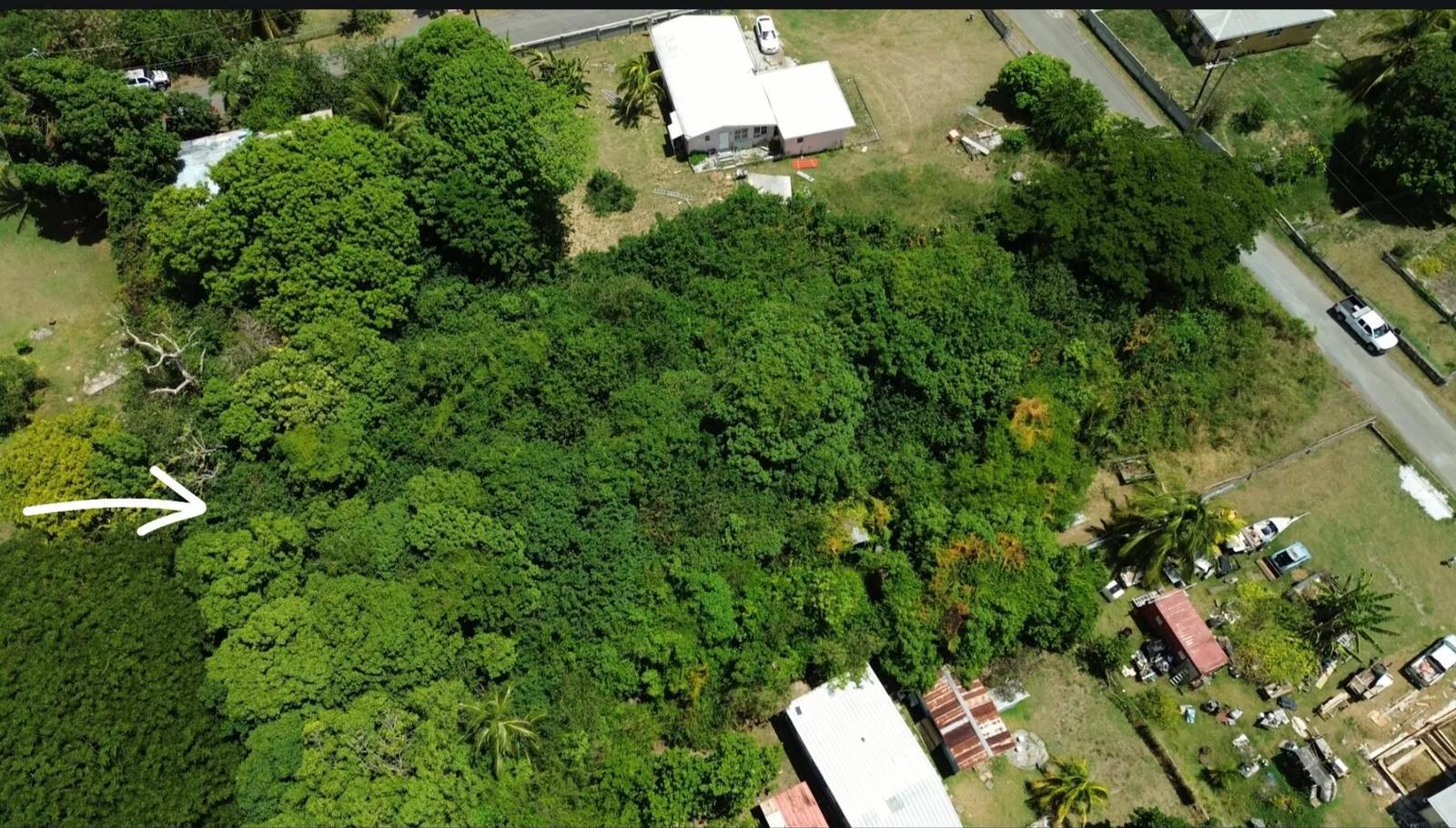 0.79 Acre Lot in Estate Glynn, US Virgin Islands — photo 5