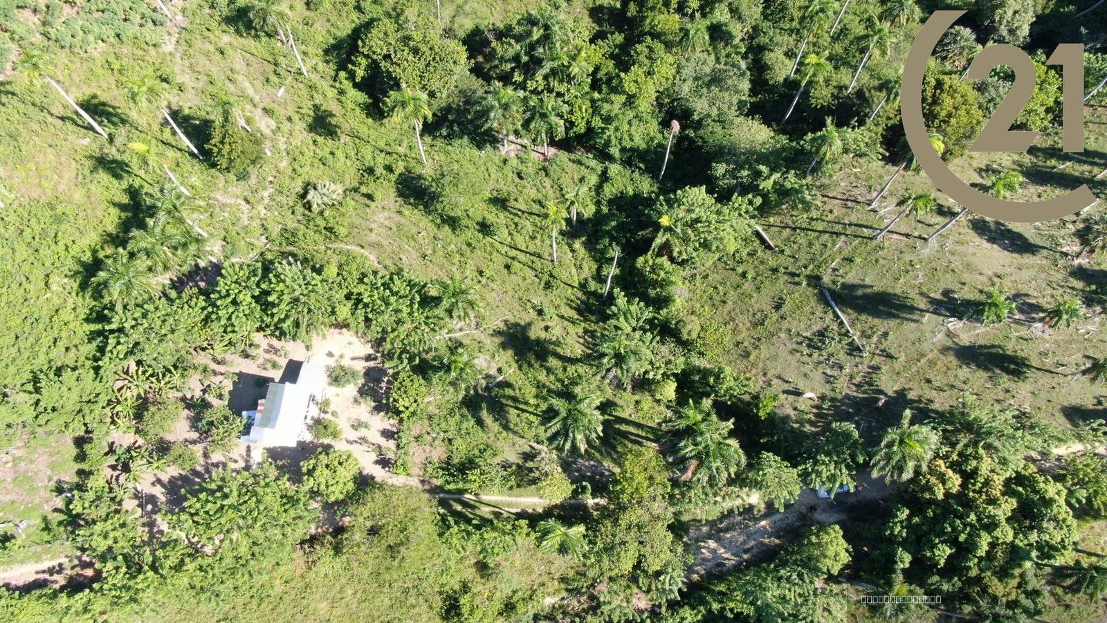 Oceanview Potential Development Lot in Lomas de los Chivos, Sosúa — photo 2