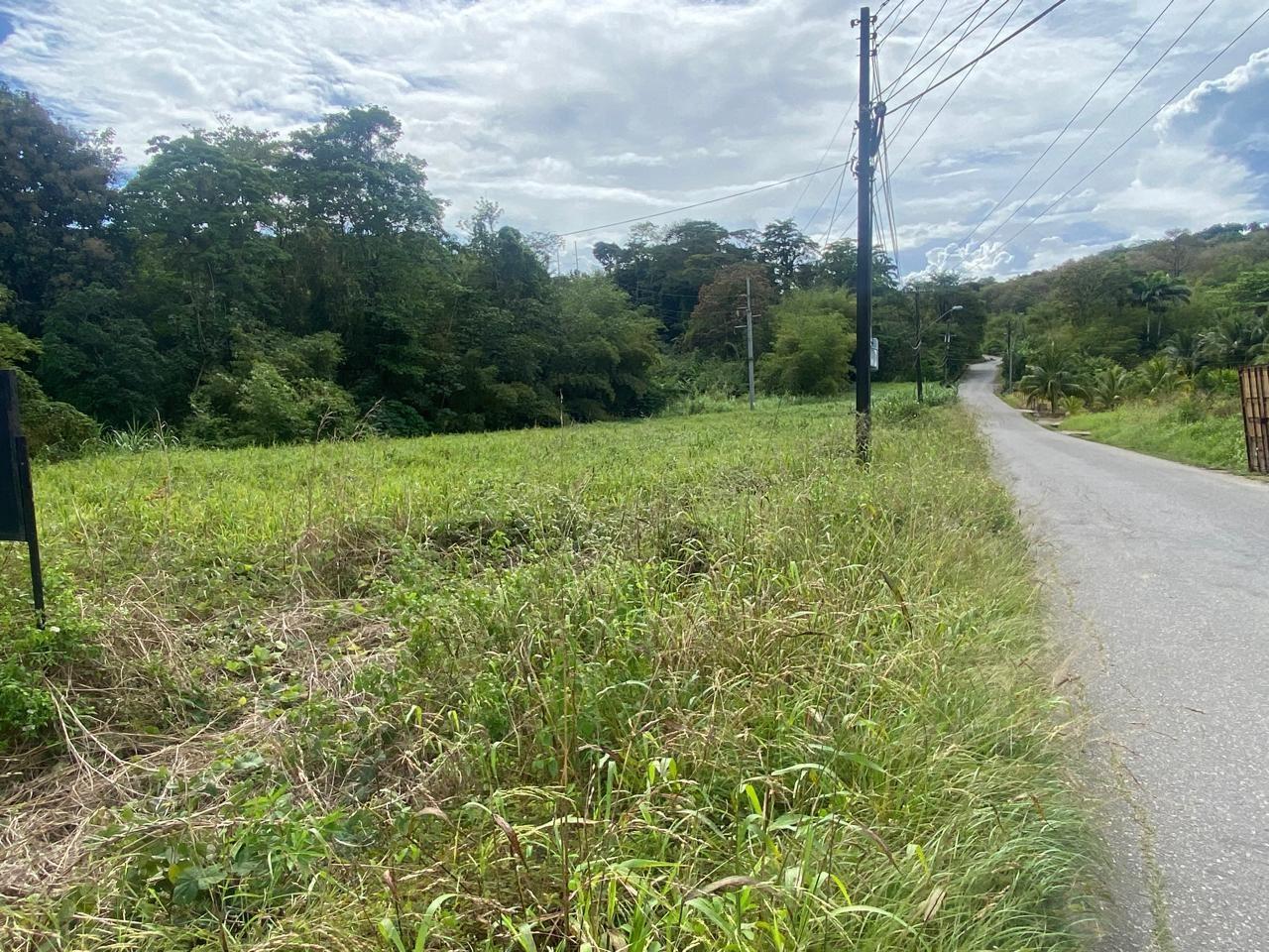 APPROVED PLOT FOR SALE (6,837 sq ft) - GUARACARA TABAQUITE ROAD — photo 5