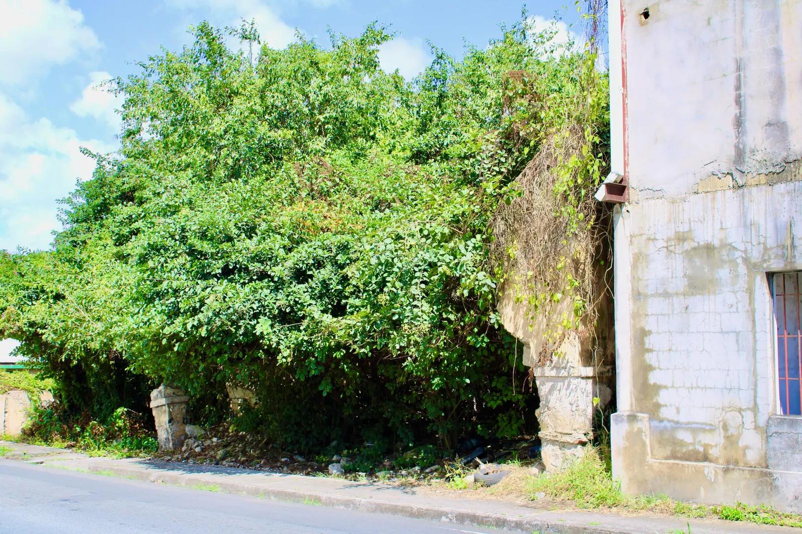 Homesite for Sale in US Virgin Islands — photo 4