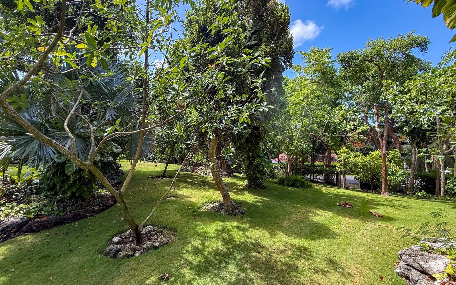 Lot 8, Block 17, Christie Terrace — photo 5