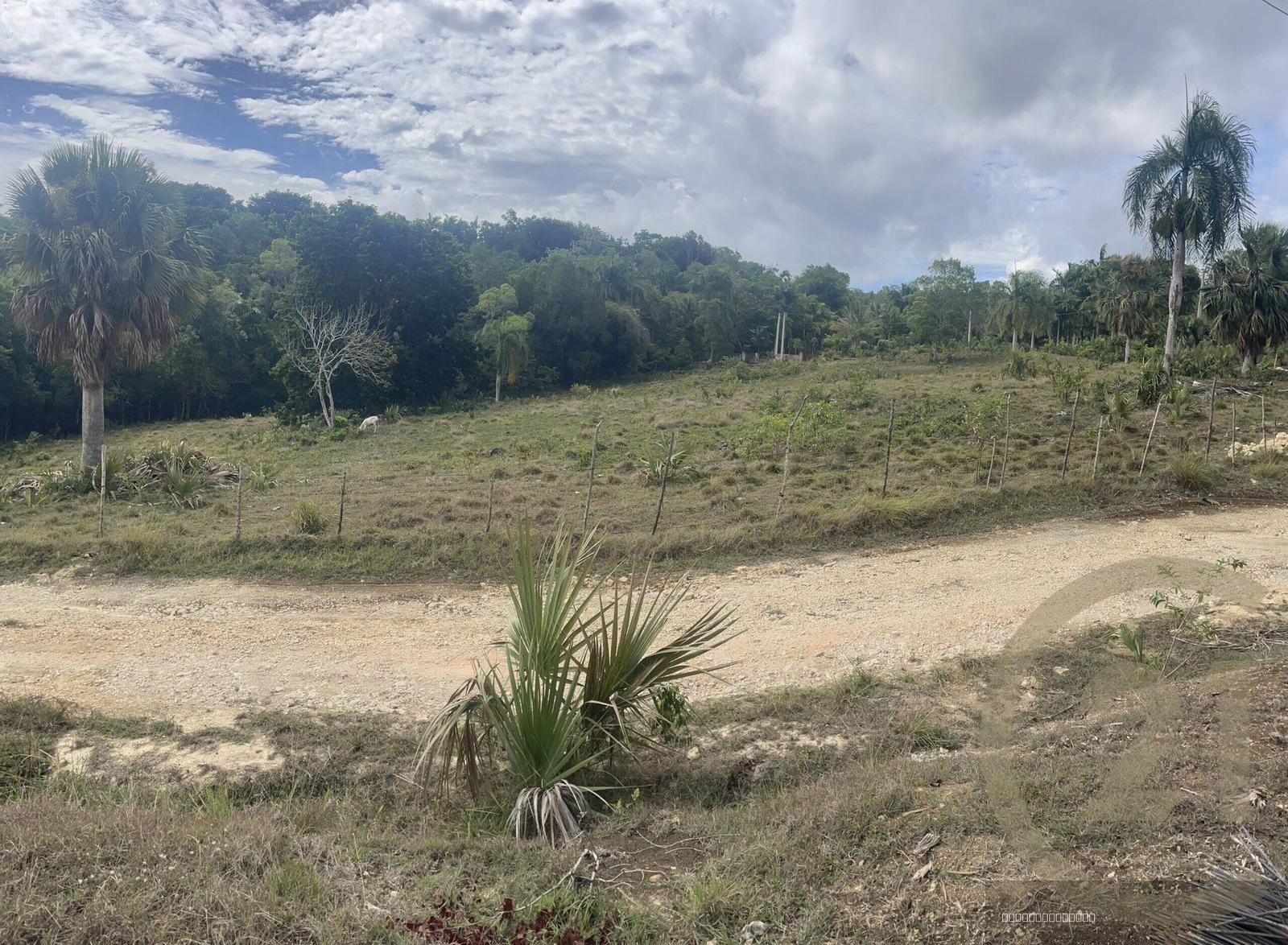 Residential Development Lot for sale in El Choco, Sosúa — photo 5