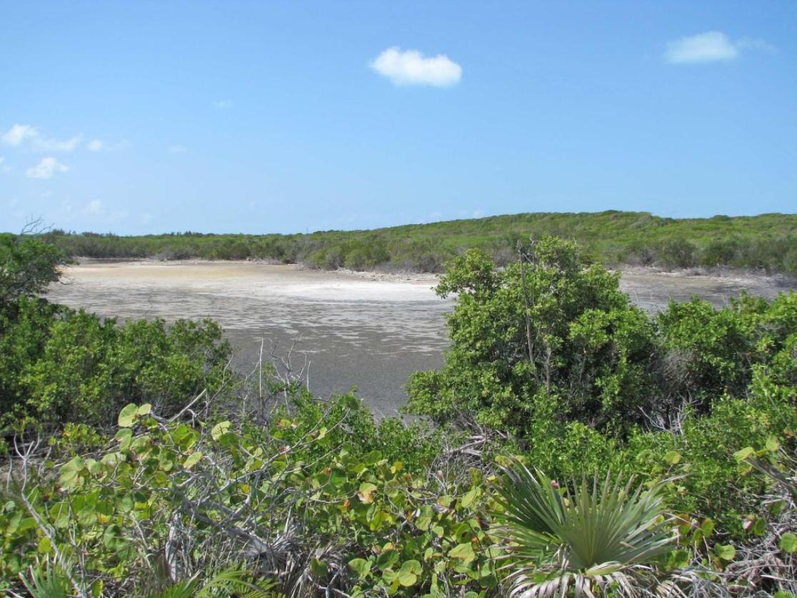 Little Exuma Bahamas 243 Acre Opportunity — photo 4