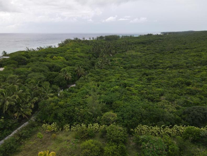Breeze Away Estates Bahamas 1 Acre Lot — photo 2