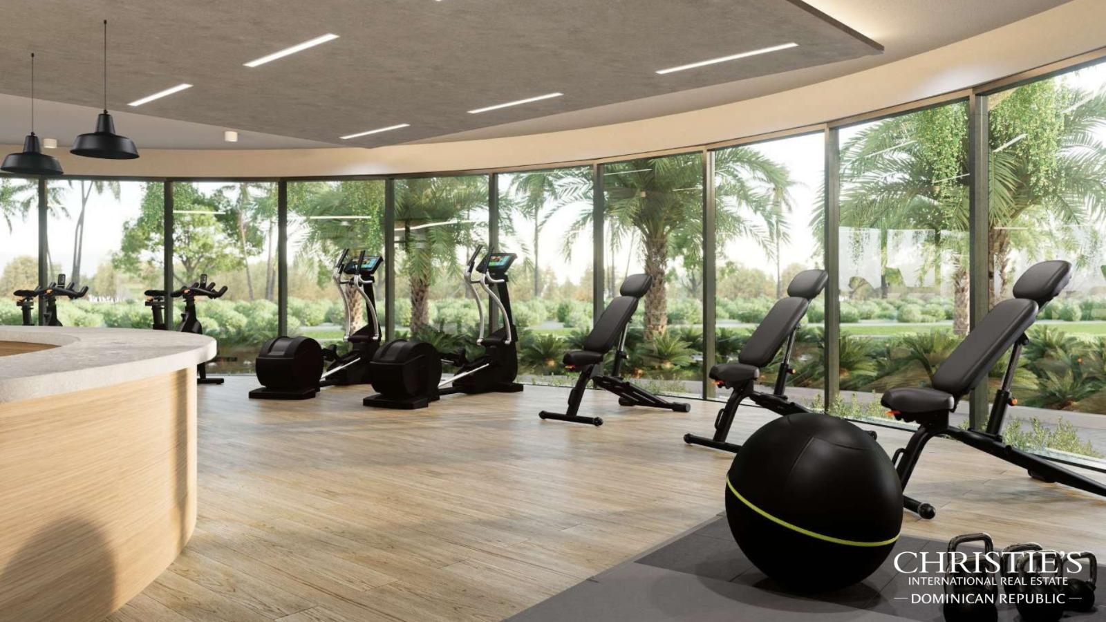 LAKESIDE RESIDENCES PENTHOUSE AT CAP CANA — photo 4