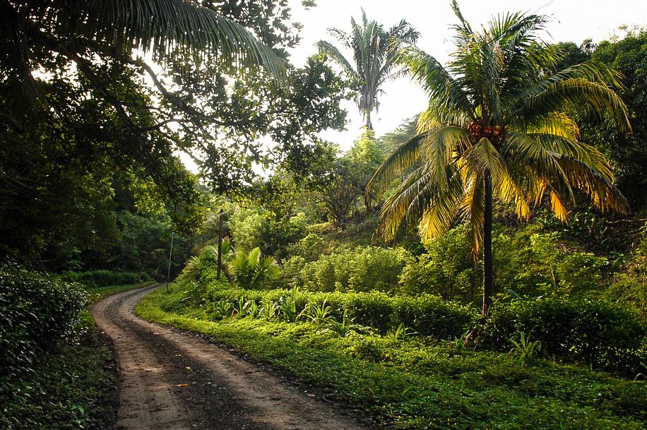 90 Acres of Prime Conservation & Development Land for Sale, Mal Pais, Puntarenas, Costa Rica — photo 2