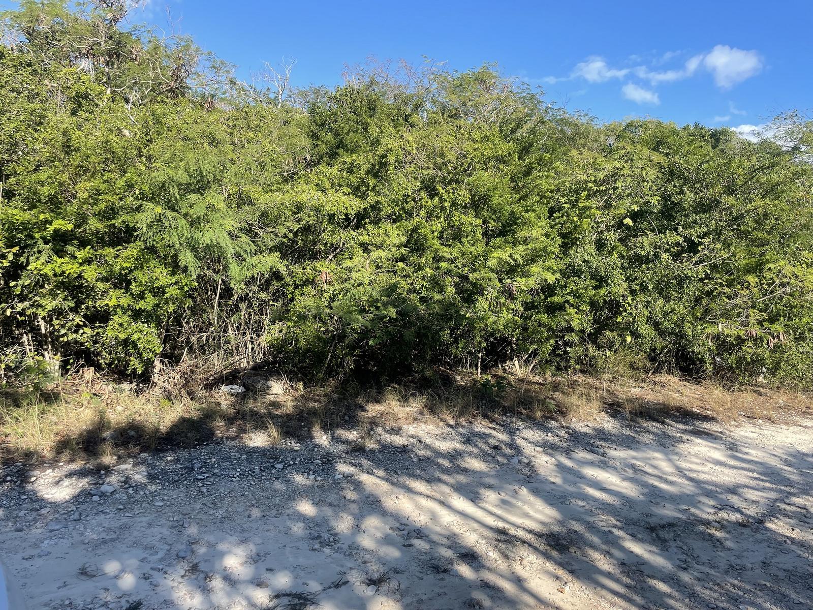 Lot 149, Schooner Road, Flamingo Bay - MLS 65869 — photo 4