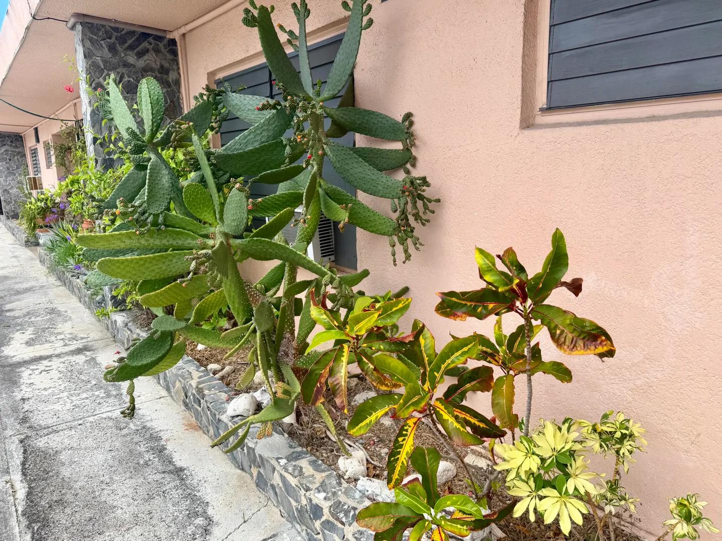 1 Bed 1 Bath Condo in US Virgin Islands — photo 3