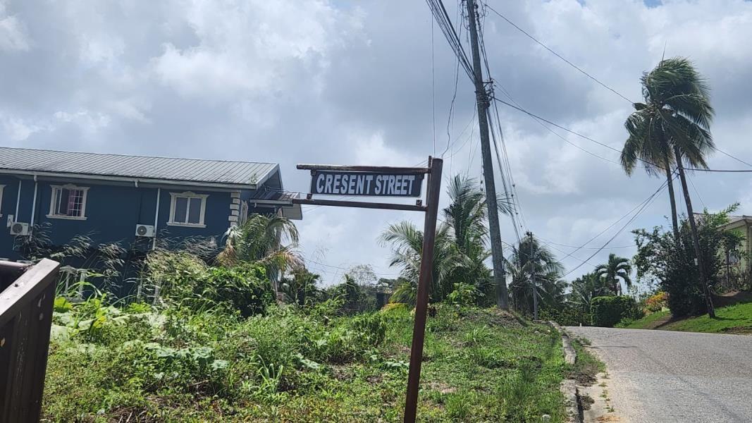 Guaico Tamana Road Lots for Sale — photo 1