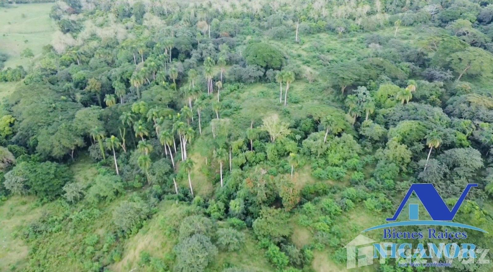 Cattle ranch for sale of 1,150 tareas in Guananico pop — photo 3