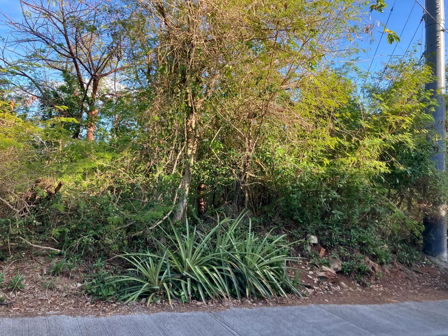 Residential Lot in Chocolate Hole, St. John — photo 5