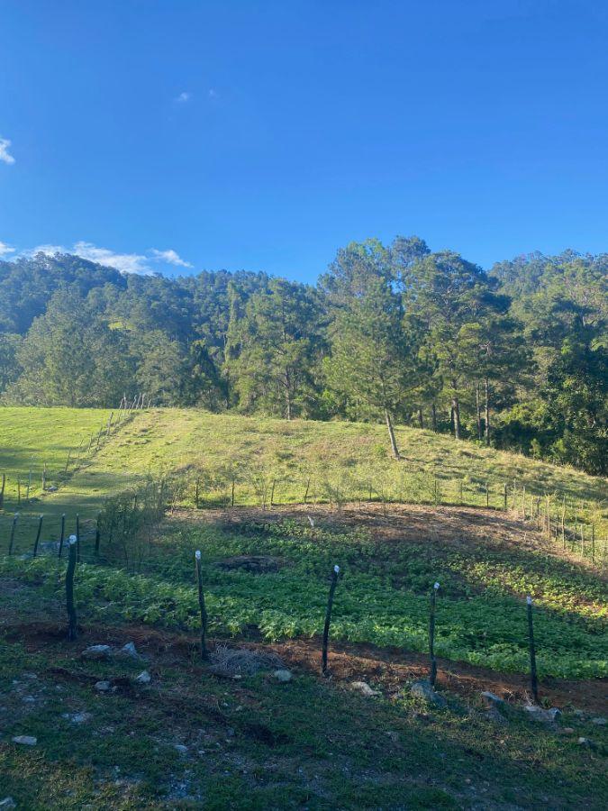 Independent Lots for Sale in Jarabacoa — photo 2
