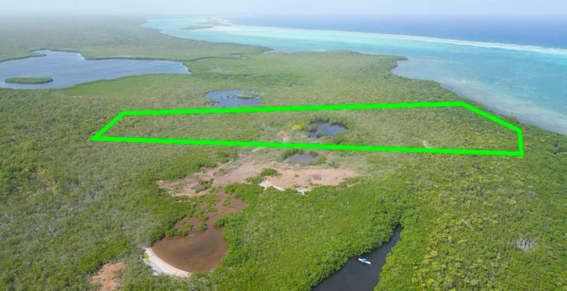 25 acres of Stunning Island Tranquility — Turneffe Island — photo 1