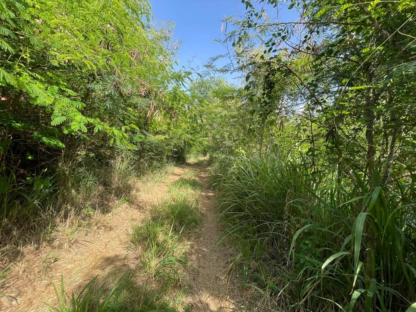 0.41 Acre Homesite in Mahogany Run, US Virgin Islands — photo 2