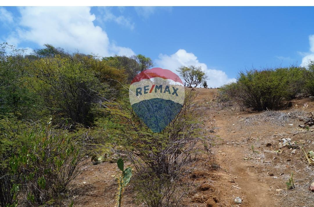 Island Lot For Sale in Clifton, Union Island — photo 4