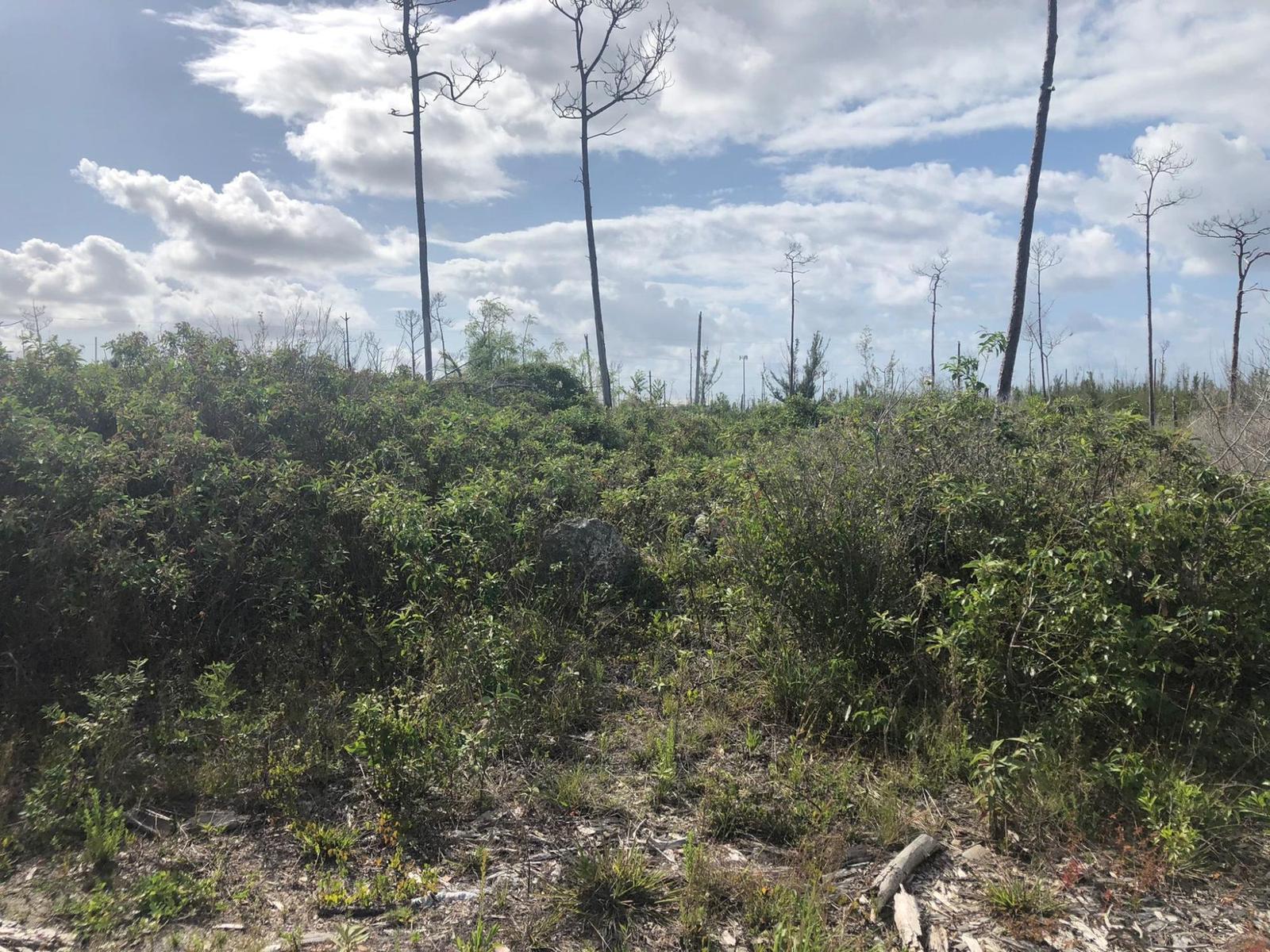 FREEPORT — photo 3