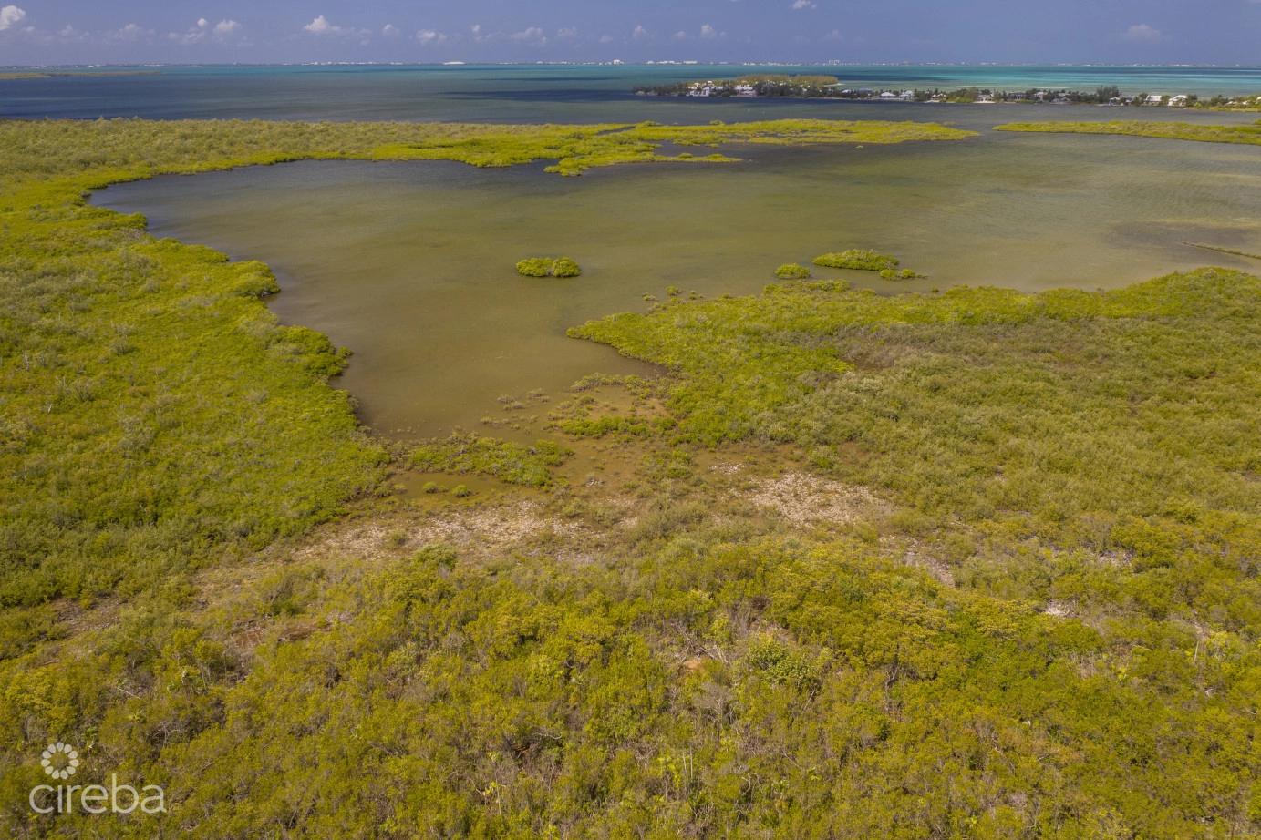 80 Acres Rum Point Development Parcel — photo 3