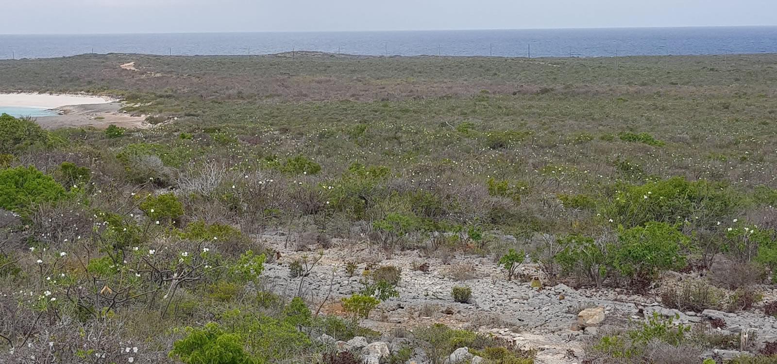 0.45 Acres of Land for Sale, Captains Ridge, Anguilla — photo 2