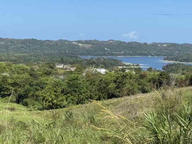 26.75-acre farmland with house, overlooking Lake Guajataca, Puerto Rico — photo 2
