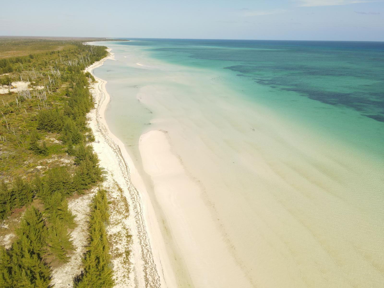 113 Acres of Beachfront Land for Sale, East End, Grand Bahama — photo 3