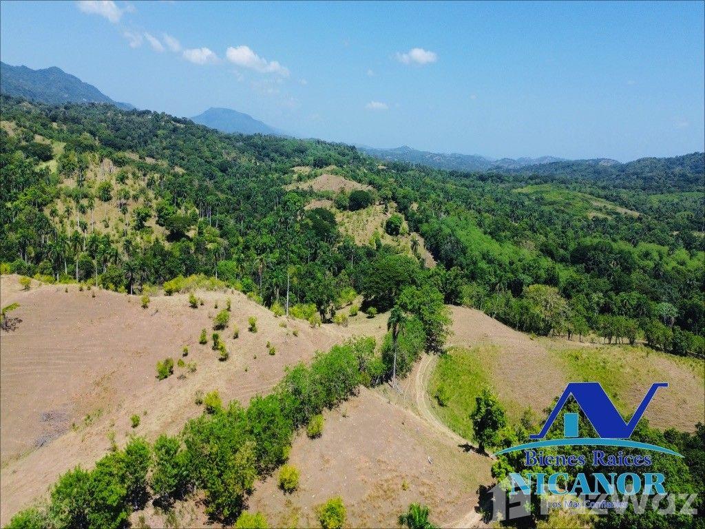 846 Acre Farm for Sale in Guananico, Puerto Plata — photo 2