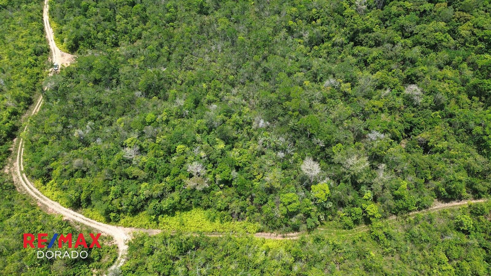Prime 19.16-Acre Property for Sale — photo 3