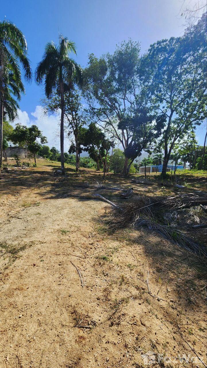 Residential Land for Sale in San Felipe De Puerto Plata — photo 3