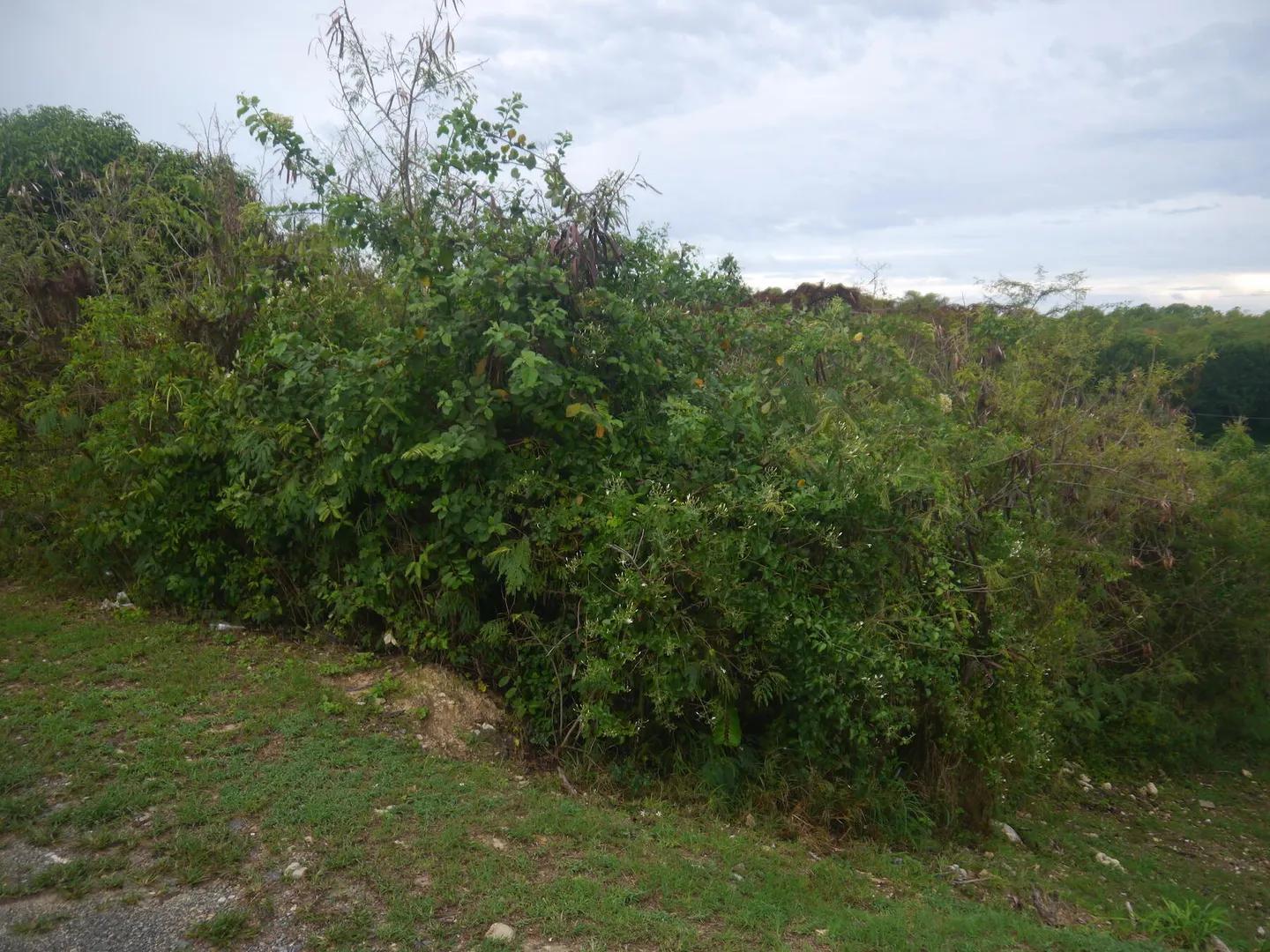 0.27 Acre Homesite in Sion Farm — photo 1