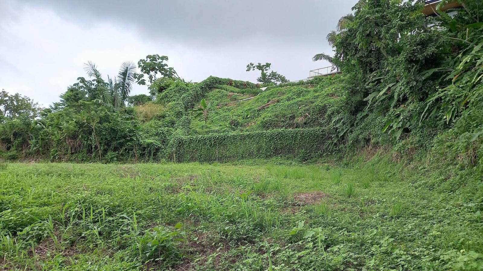 5,000 Sq M Lot for Sale, Mal Pais, Puntarenas, Costa Rica — photo 4