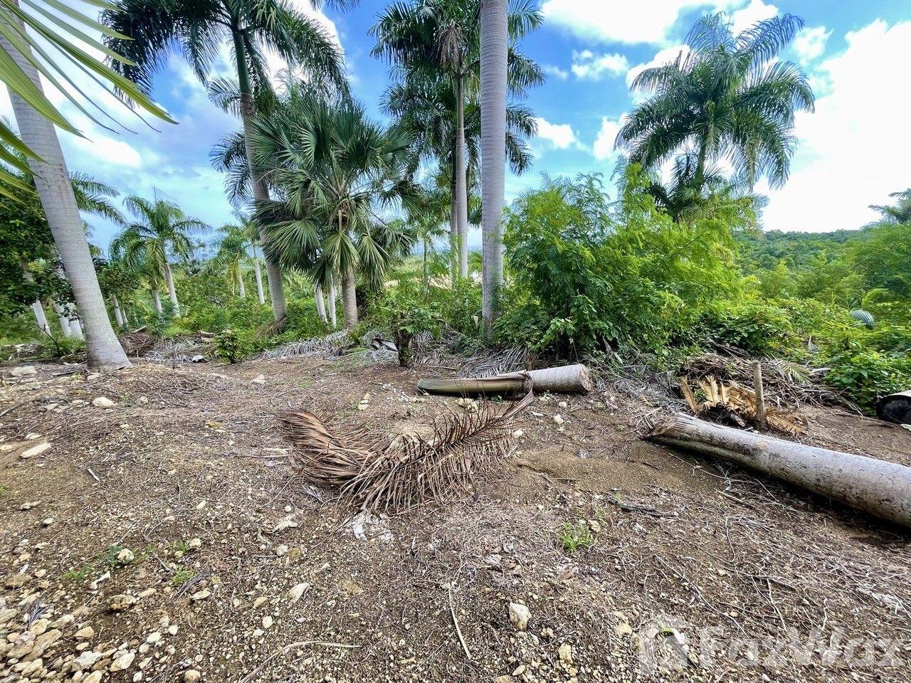 Exceptional Ocean View Land for Sale – Sosúa, DR — photo 4