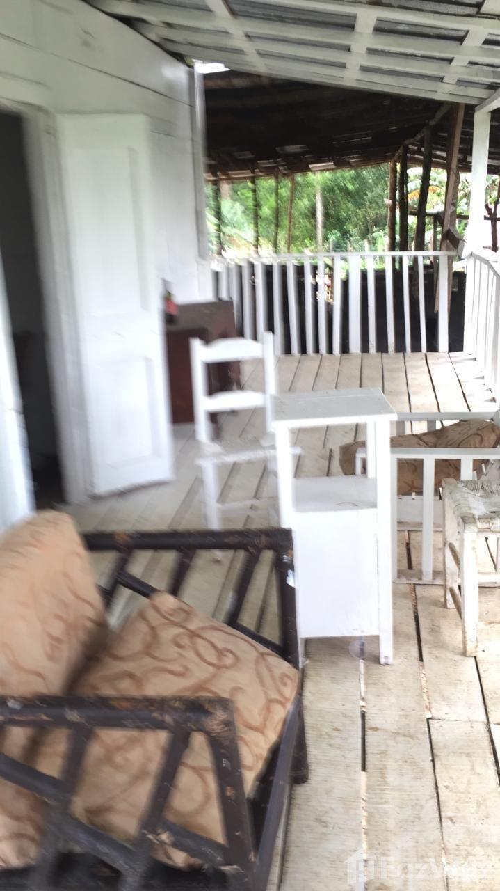 335 acres Coffee and Avocado Farm in Barahona — photo 5