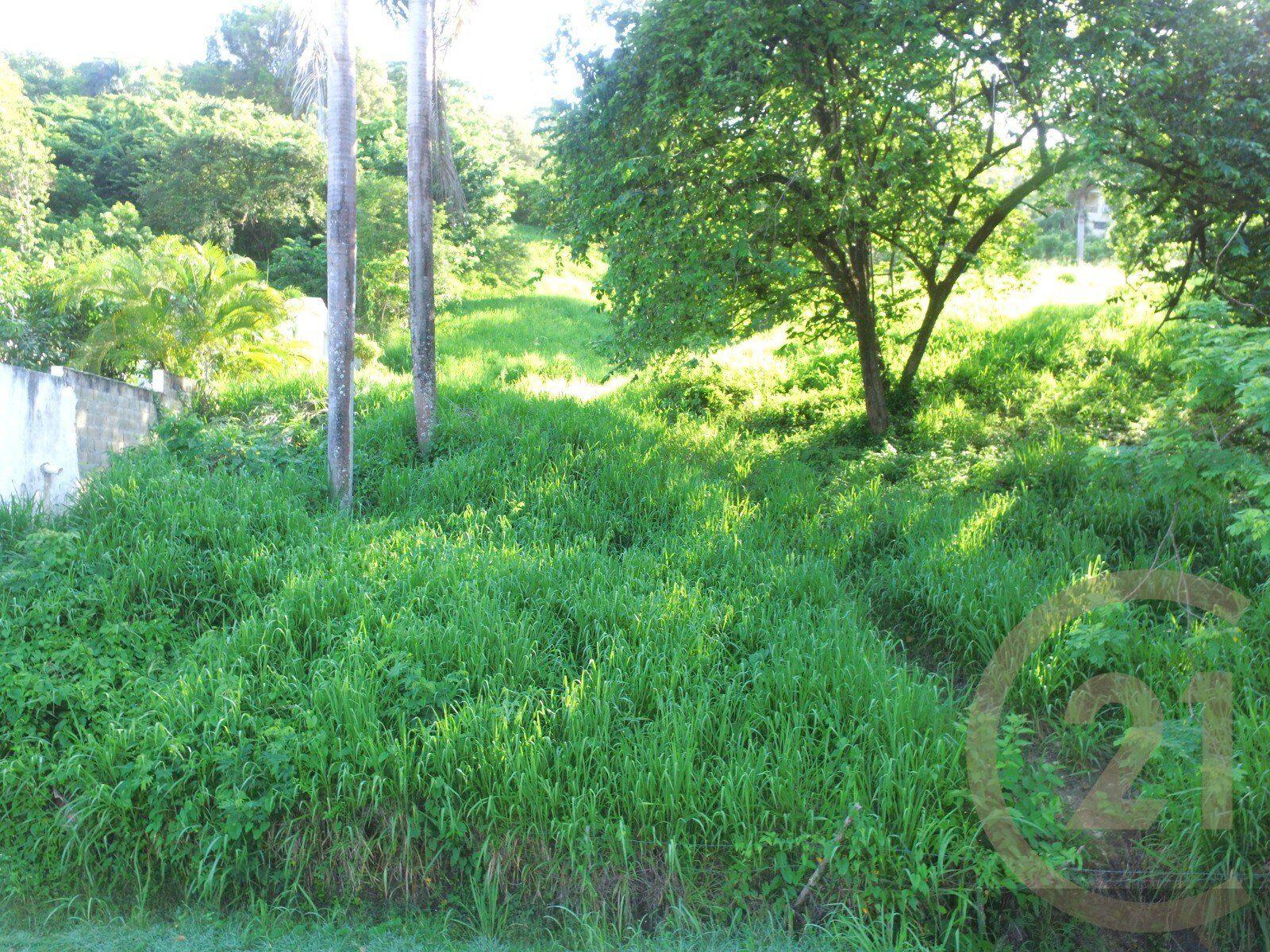 Large Residential Lot for sale in Terramar Estates, Sosúa with Financing — photo 2