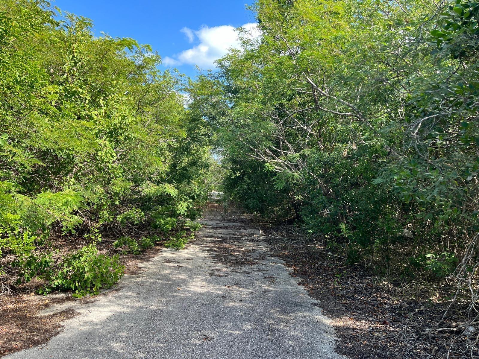 97 MOSS TOWN, EXUMA — photo 2