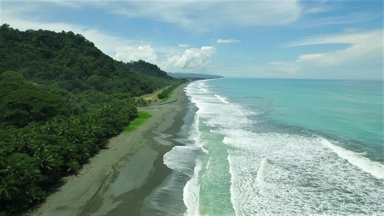 113 Hectares Beachfront Land for Sale in Osa Peninsula — photo 4