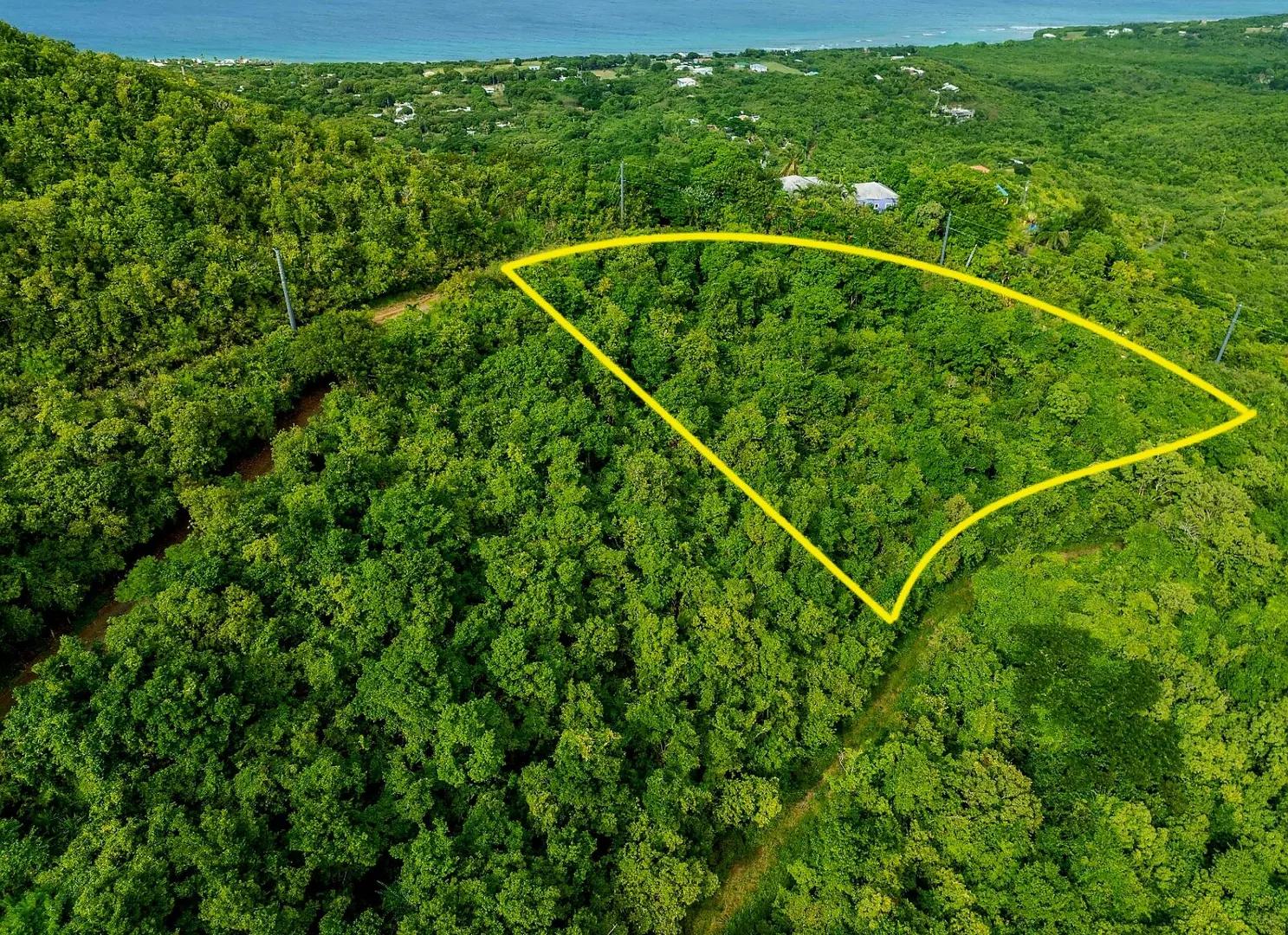 0.53 Acre Homesite Lot in La Vallee, US Virgin Islands — photo 1