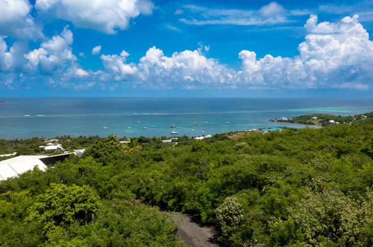 Teagues Bay Oceanview 0.50 Acre Lot — photo 3
