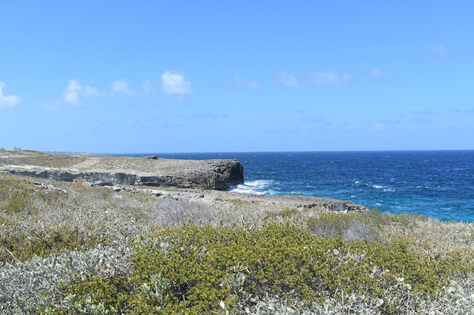 WHALE POINT ESTATES Land Lot — photo 5