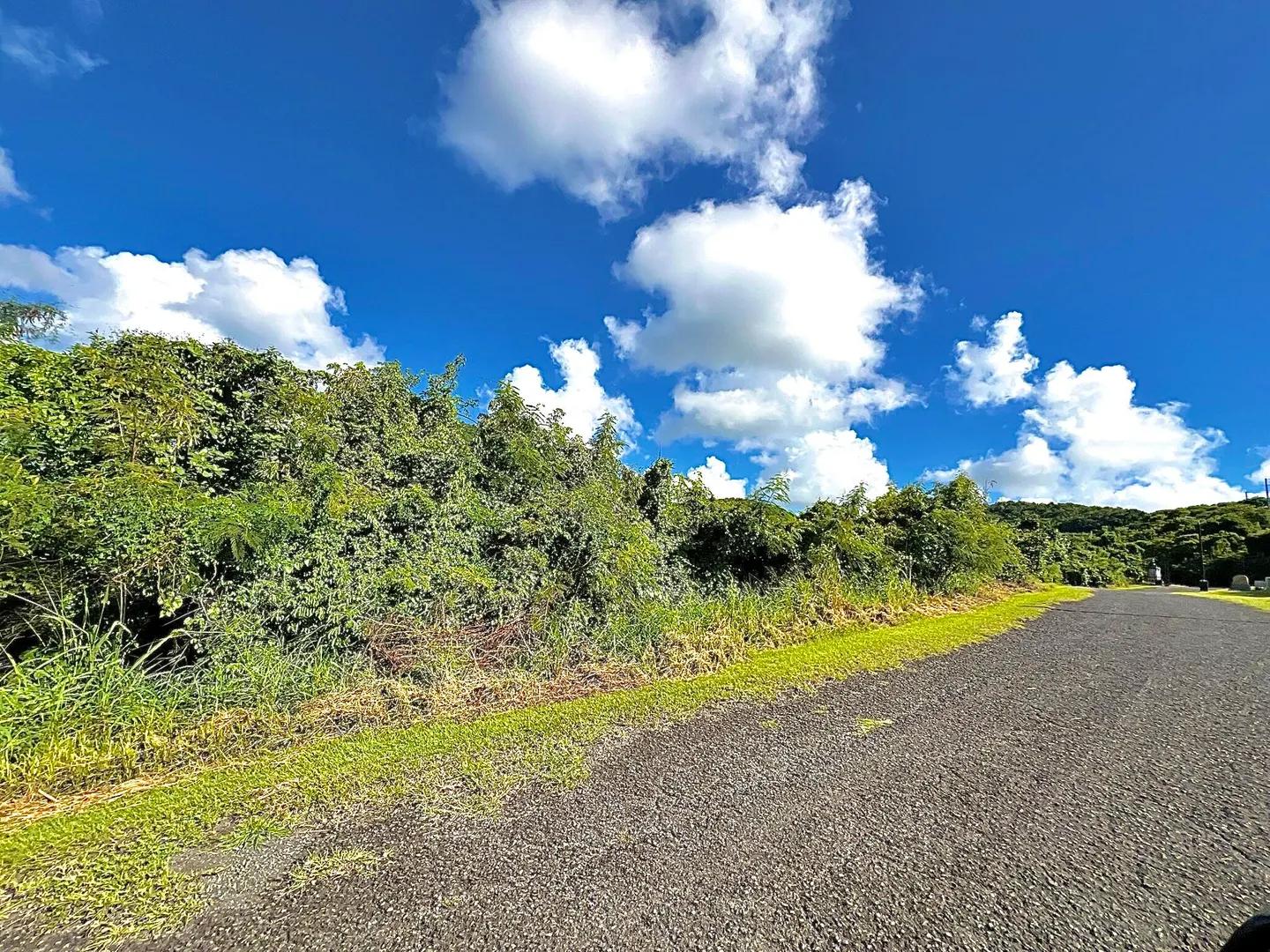 0.5 Acre Homesite Lot in St. Croix — photo 2