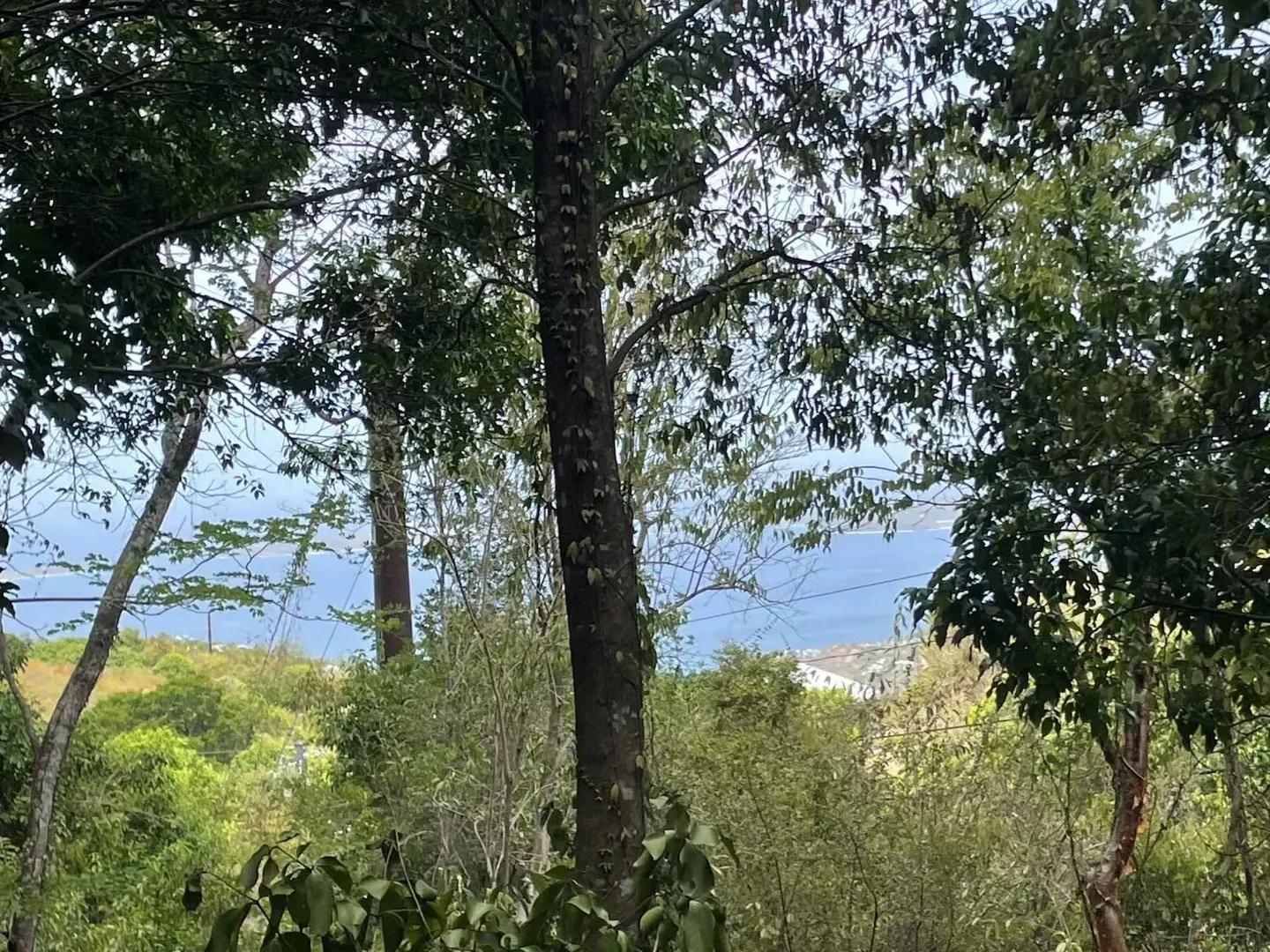 P Rem Gift & Regenback Land for Sale — photo 1