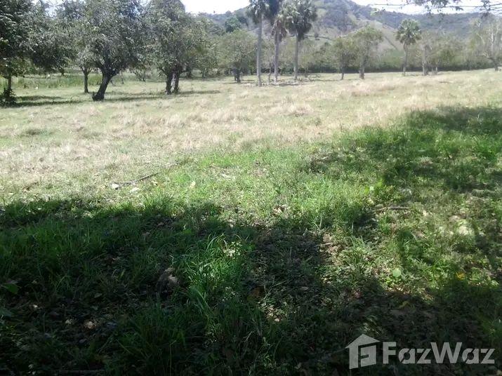 Land for sale in La Sabana de Luperon, Luperon — photo 3