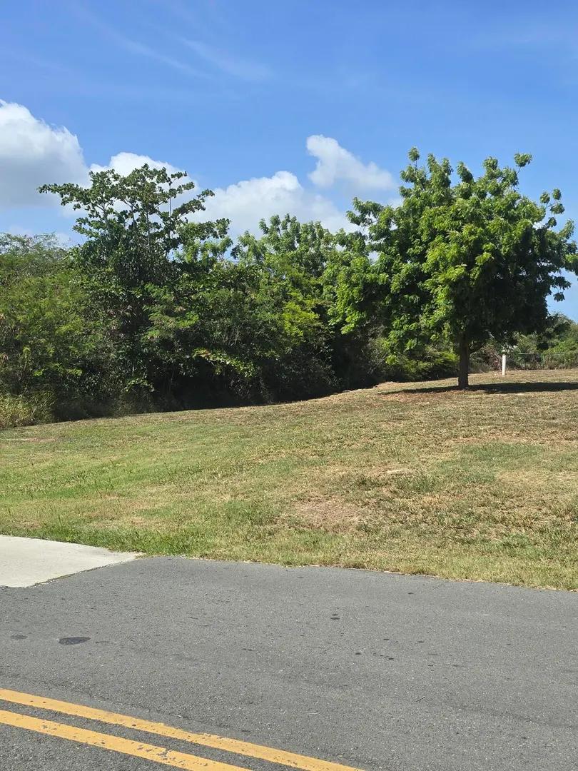 0.5 Acre Homesite Lot in Frederiksted — photo 4