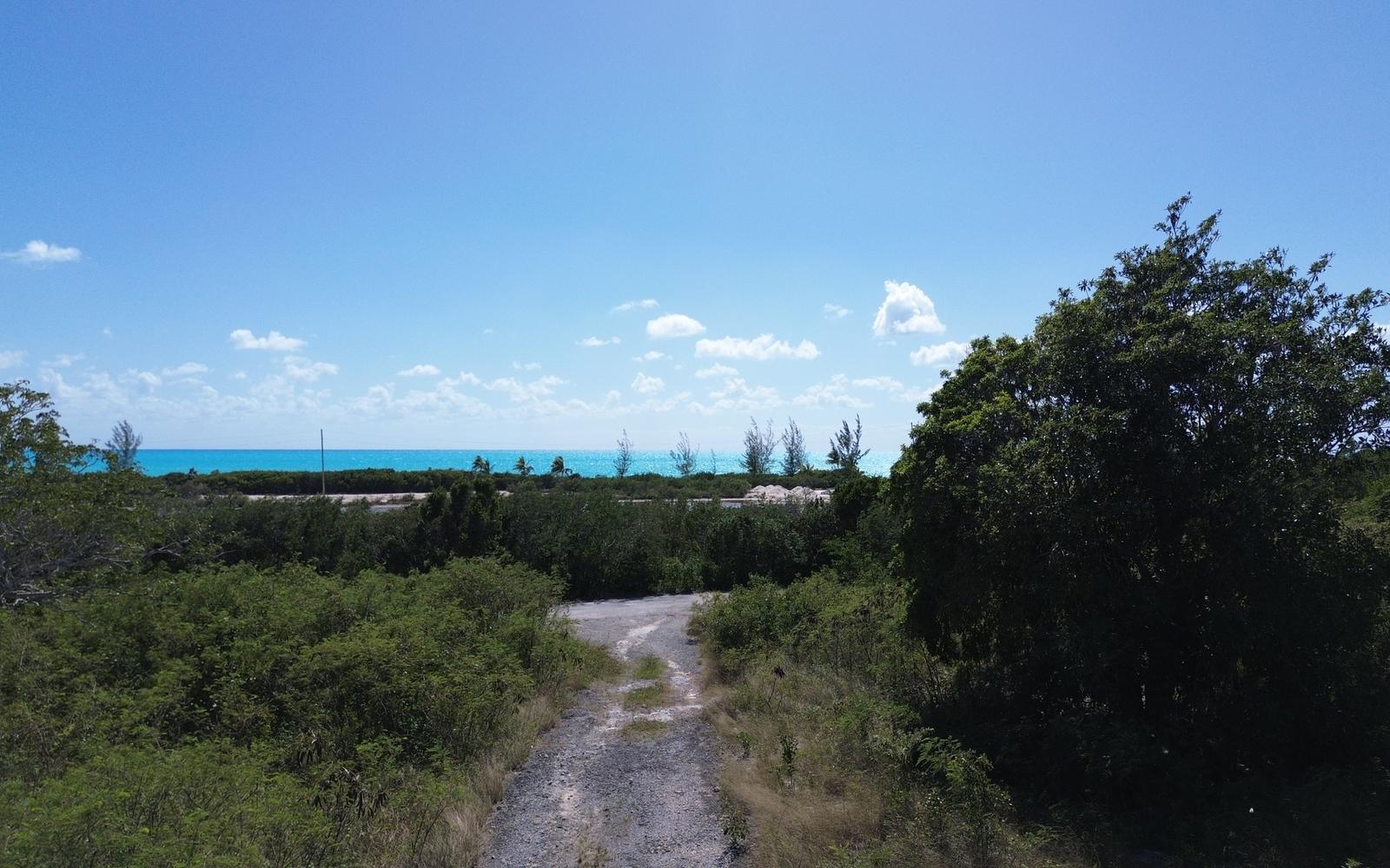 Vacant Land for sale - 3 Acres, Hilltop Lot — photo 4