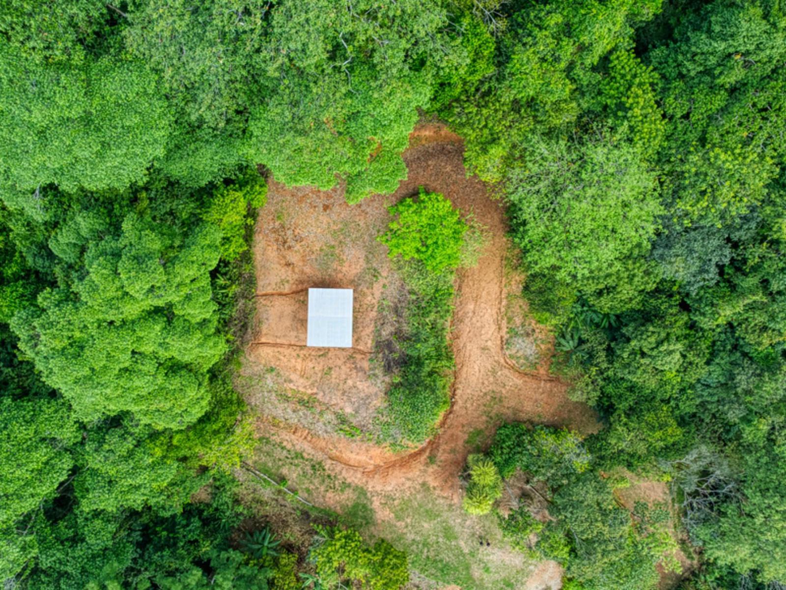 7.87 Acre Land Plot for Sale in Matapalo, Puntarenas, Costa Rica — photo 4