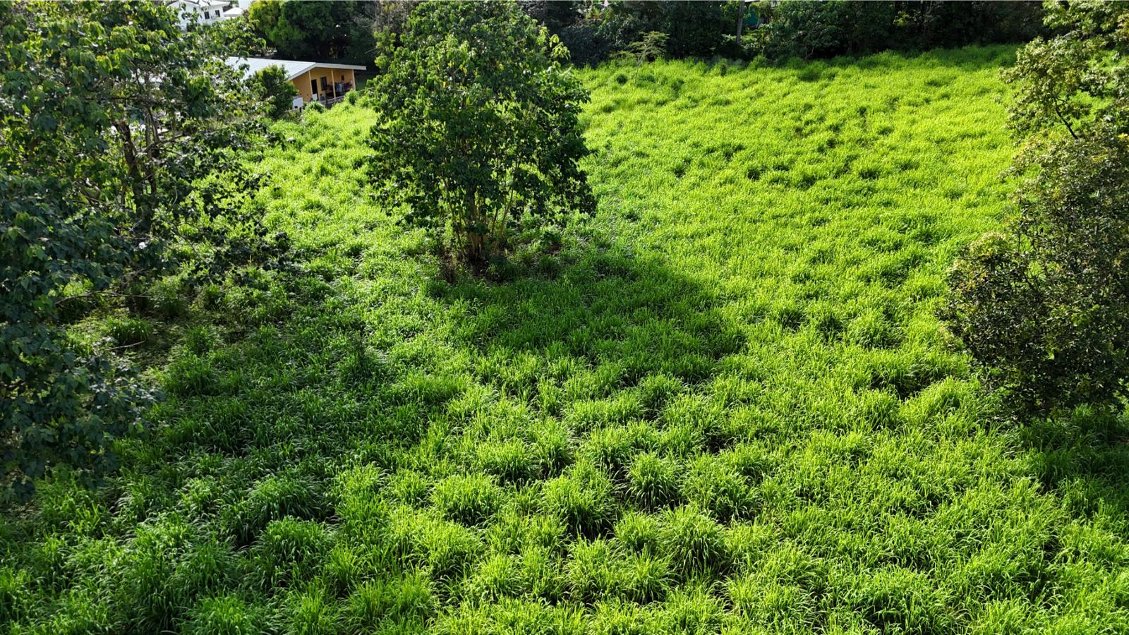 3 Acres of Mountain-View Land for Sale, Ojochal, Puntarenas, Costa Rica — photo 5
