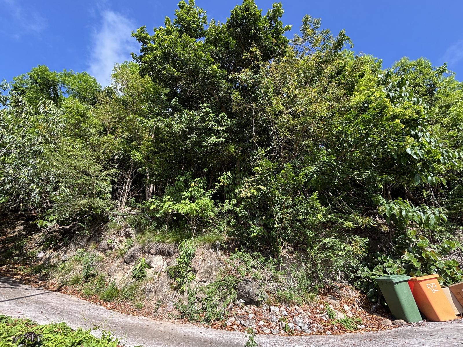 Middle Island Property — photo 4